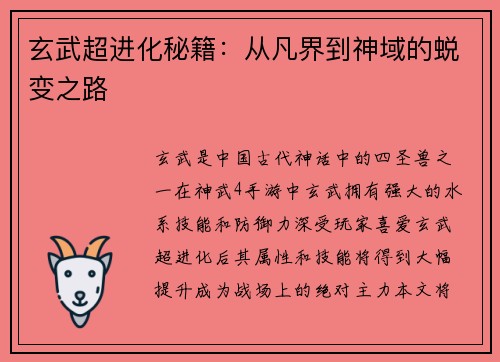 玄武超进化秘籍：从凡界到神域的蜕变之路